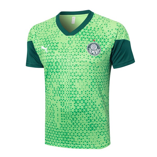 Camiseta Entrenamiento Palmeiras 2024-2025 Verde